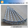 Umbrella Head Twist Shank Roofing Nails